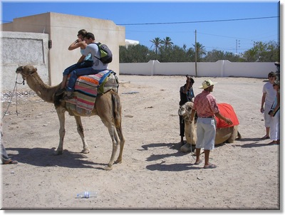 djerba_111.JPG