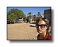 djerba_090.JPG