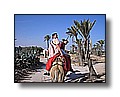 djerba_095.JPG