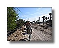 djerba_097.JPG