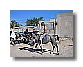 djerba_102.JPG