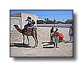 djerba_111.JPG