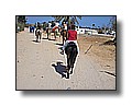 djerba_112.JPG