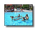 djerba_179.JPG