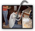 P9010006.JPG